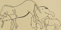 An illustration from Men of the old stone age, their environment, life and art (1915)