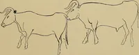 Picture 223 of 268 from Men of the old stone age, their environment, life and art (1915), leaf 450