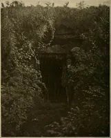 Picture 232 of 268 from Men of the old stone age, their environment, life and art (1915), leaf 461