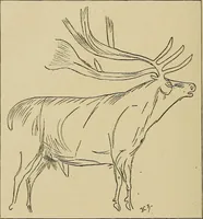 Picture 236 of 268 from Men of the old stone age, their environment, life and art (1915), leaf 465