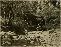 Picture 238 of 268 from Men of the old stone age, their environment, life and art (1915), leaf 467