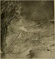 Picture 239 of 268 from Men of the old stone age, their environment, life and art (1915), leaf 468