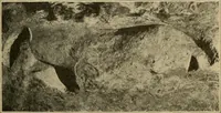 Picture 240 of 268 from Men of the old stone age, their environment, life and art (1915), leaf 470