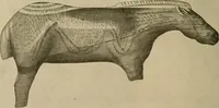 Picture 241 of 268 from Men of the old stone age, their environment, life and art (1915), leaf 471