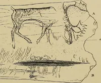 Picture 245 of 268 from Men of the old stone age, their environment, life and art (1915), leaf 480
