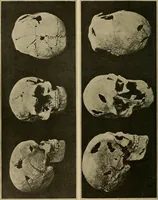 Picture 255 of 268 from Men of the old stone age, their environment, life and art (1915), leaf 517