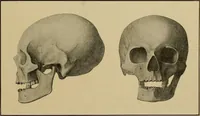 An illustration from Men of the old stone age, their environment, life and art (1915)