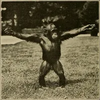 An illustration from Men of the old stone age, their environment, life and art (1915)