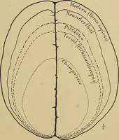 Picture 26 of 268 from Men of the old stone age, their environment, life and art (1915), leaf 94