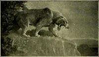 Picture 28 of 282 from Men of the old stone age, their environment, life and art (1918), leaf 113