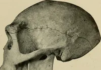 An illustration from Men of the old stone age, their environment, life and art (1918)