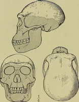 An illustration from Men of the old stone age, their environment, life and art (1918)