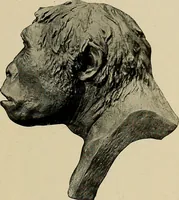 An illustration from Men of the old stone age, their environment, life and art (1918)