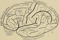 Picture 38 of 282 from Men of the old stone age, their environment, life and art (1918), leaf 126