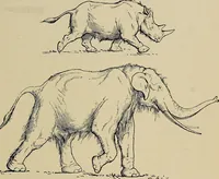 An illustration from Men of the old stone age, their environment, life and art (1918)