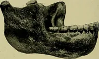 Picture 46 of 282 from Men of the old stone age, their environment, life and art (1918), leaf 141