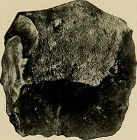 Picture 56 of 282 from Men of the old stone age, their environment, life and art (1918), leaf 164