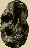 Picture 57 of 282 from Men of the old stone age, their environment, life and art (1918), leaf 164