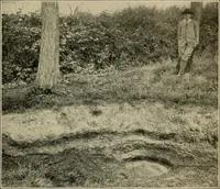 Picture 64 of 282 from Men of the old stone age, their environment, life and art (1918), leaf 174