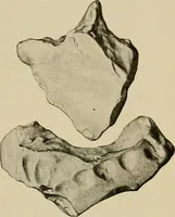 An illustration from Men of the old stone age, their environment, life and art (1918)