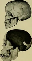 An illustration from Men of the old stone age, their environment, life and art (1918)