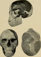 Picture 70 of 282 from Men of the old stone age, their environment, life and art (1918), leaf 180