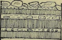 Picture 81 of 282 from Men of the old stone age, their environment, life and art (1918), leaf 207