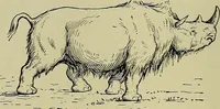 An illustration from Men of the old stone age, their environment, life and art (1918)