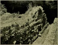 Picture 103 of 282 from Men of the old stone age, their environment, life and art (1918), leaf 241