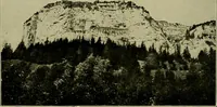 Picture 104 of 282 from Men of the old stone age, their environment, life and art (1918), leaf 243
