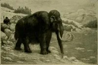 An illustration from Men of the old stone age, their environment, life and art (1918)