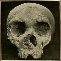 Picture 110 of 282 from Men of the old stone age, their environment, life and art (1918), leaf 258