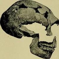 Picture 113 of 282 from Men of the old stone age, their environment, life and art (1918), leaf 263