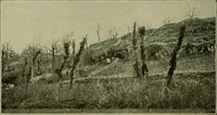 Picture 114 of 282 from Men of the old stone age, their environment, life and art (1918), leaf 265