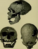 An illustration from Men of the old stone age, their environment, life and art (1918)