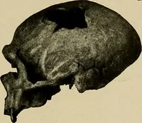 An illustration from Men of the old stone age, their environment, life and art (1918)
