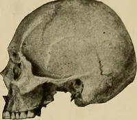 An illustration from Men of the old stone age, their environment, life and art (1918)