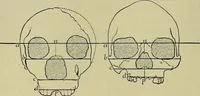An illustration from Men of the old stone age, their environment, life and art (1918)