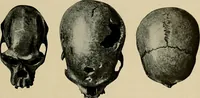 Picture 122 of 282 from Men of the old stone age, their environment, life and art (1918), leaf 274