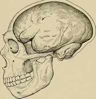 An illustration from Men of the old stone age, their environment, life and art (1918)
