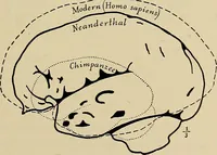 An illustration from Men of the old stone age, their environment, life and art (1918)