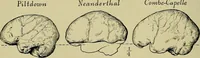 Picture 128 of 282 from Men of the old stone age, their environment, life and art (1918), leaf 279