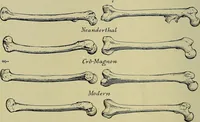 An illustration from Men of the old stone age, their environment, life and art (1918)