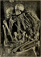 Picture 140 of 282 from Men of the old stone age, their environment, life and art (1918), leaf 310