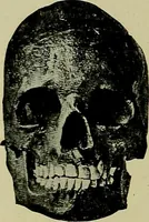Picture 141 of 282 from Men of the old stone age, their environment, life and art (1918), leaf 311