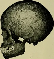 An illustration from Men of the old stone age, their environment, life and art (1918)