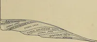 Picture 174 of 282 from Men of the old stone age, their environment, life and art (1918), leaf 370