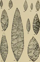 Picture 179 of 282 from Men of the old stone age, their environment, life and art (1918), leaf 382