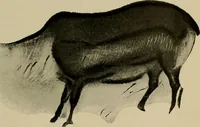 An illustration from Men of the old stone age, their environment, life and art (1918)