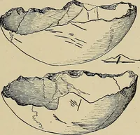 Picture 200 of 282 from Men of the old stone age, their environment, life and art (1918), leaf 424